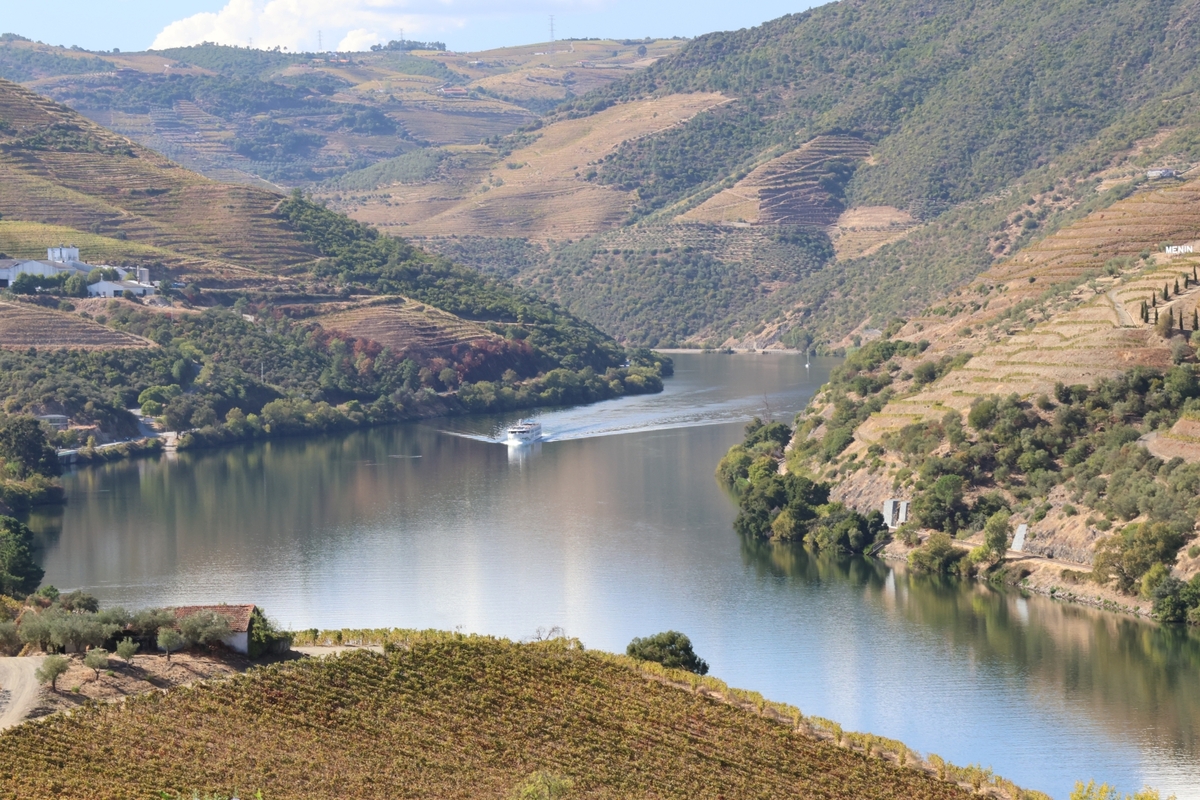 Boat on the River Drouro - Duncan Gordon